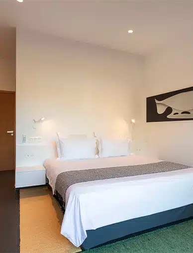 lesolivades-room2
